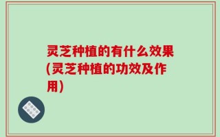 灵芝种植的有什么效果(灵芝种植的功效及作用)