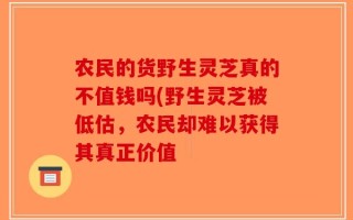 农民的货野生灵芝真的不值钱吗(野生灵芝被低估，农民却难以获得其真正价值
