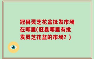 冠县灵芝花盆批发市场在哪里(冠县哪里有批发灵芝花盆的市场？)