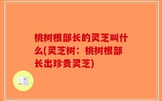 桃树根部长的灵芝叫什么(灵芝树：桃树根部长出珍贵灵芝)