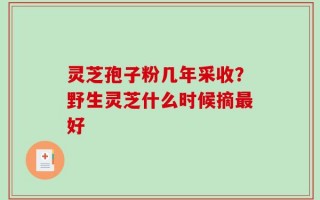 灵芝孢子粉几年采收？野生灵芝什么时候摘最好