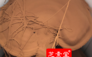灵芝三萜与灵芝多糖的区别？