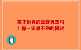 孢子粉真的是野灵芝吗？你一定想不到的揭晓