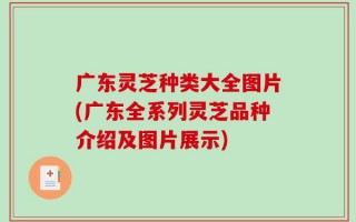 广东灵芝种类大全图片(广东全系列灵芝品种介绍及图片展示)