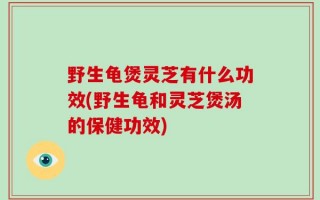 野生龟煲灵芝有什么功效(野生龟和灵芝煲汤的保健功效)