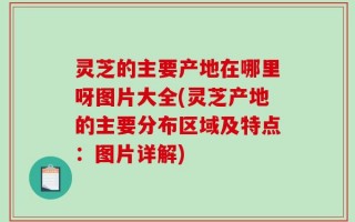 灵芝的主要产地在哪里呀图片大全(灵芝产地的主要分布区域及特点：图片详解)