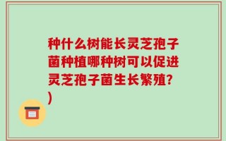 种什么树能长灵芝孢子菌种植哪种树可以促进灵芝孢子菌生长繁殖？)