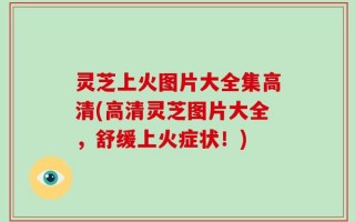 灵芝上火图片大全集高清(高清灵芝图片大全，舒缓上火症状！)