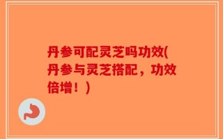 丹参可配灵芝吗功效(丹参与灵芝搭配，功效倍增！)