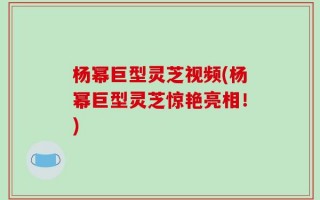 杨幂巨型灵芝视频(杨幂巨型灵芝惊艳亮相！)