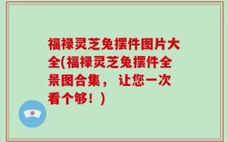 福禄灵芝兔摆件图片大全(福禄灵芝兔摆件全景图合集， 让您一次看个够！)