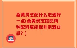 桑黄灵芝配什么泡酒好一点(桑黄灵芝搭配何种配料更能提升泡酒口感？)