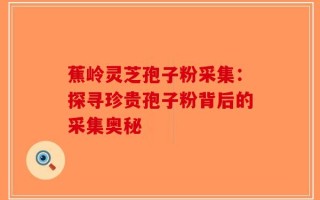 蕉岭灵芝孢子粉采集：探寻珍贵孢子粉背后的采集奥秘