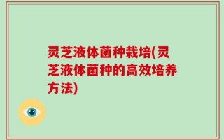 灵芝液体菌种栽培(灵芝液体菌种的高效培养方法)