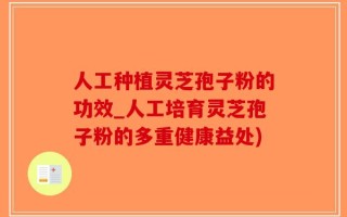 人工种植灵芝孢子粉的功效_人工培育灵芝孢子粉的多重健康益处)