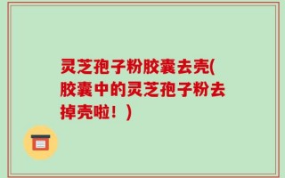 灵芝孢子粉胶囊去壳(胶囊中的灵芝孢子粉去掉壳啦！)