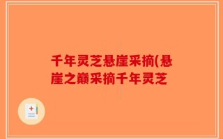 千年灵芝悬崖采摘(悬崖之巅采摘千年灵芝
