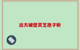 远方破壁灵芝孢子粉