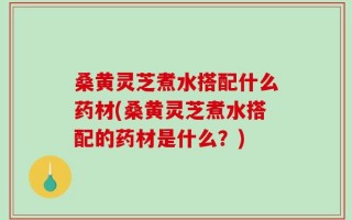 桑黄灵芝煮水搭配什么药材(桑黄灵芝煮水搭配的药材是什么？)