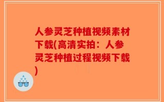 人参灵芝种植视频素材下载(高清实拍：人参灵芝种植过程视频下载)