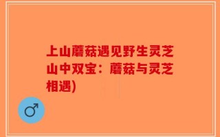 上山蘑菇遇见野生灵芝山中双宝：蘑菇与灵芝相遇)