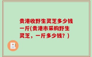 贵港收野生灵芝多少钱一斤(贵港市采购野生灵芝，一斤多少钱？)