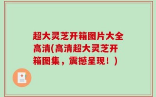 超大灵芝开箱图片大全高清(高清超大灵芝开箱图集，震撼呈现！)