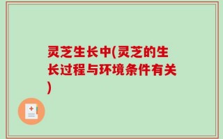 灵芝生长中(灵芝的生长过程与环境条件有关)