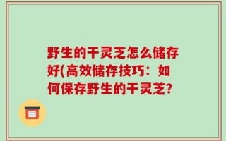 野生的干灵芝怎么储存好(高效储存技巧：如何保存野生的干灵芝？