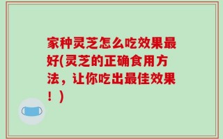 家种灵芝怎么吃效果最好(灵芝的正确食用方法，让你吃出最佳效果！)