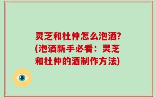 灵芝和杜仲怎么泡酒？(泡酒新手必看：灵芝和杜仲的酒制作方法)