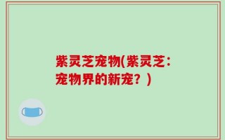 紫灵芝宠物(紫灵芝：宠物界的新宠？)
