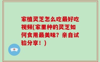 家植灵芝怎么吃最好吃视频(家里种的灵芝如何食用最美味？亲自试验分享！)