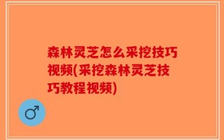 森林灵芝怎么采挖技巧视频(采挖森林灵芝技巧教程视频)