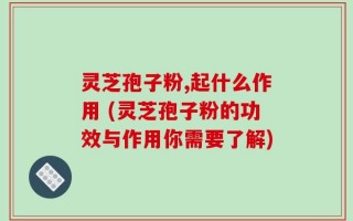灵芝孢子粉,起什么作用 (灵芝孢子粉的功效与作用你需要了解)