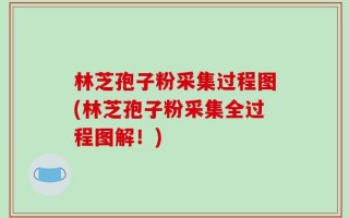 林芝孢子粉采集过程图(林芝孢子粉采集全过程图解！)