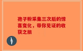 孢子粉采集三次后的惊喜变化，带你见证的收获之旅