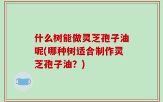 什么树能做灵芝孢子油呢(哪种树适合制作灵芝孢子油？)