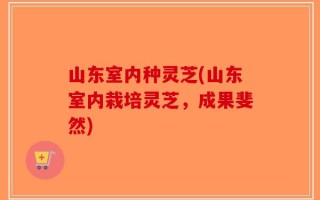 山东室内种灵芝(山东室内栽培灵芝，成果斐然)