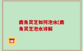 鹿角灵芝如何泡水(鹿角灵芝泡水详解