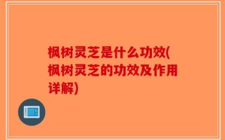 枫树灵芝是什么功效(枫树灵芝的功效及作用详解)