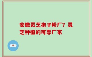 安徽灵芝孢子粉厂？灵芝种植的可靠厂家