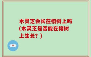 木灵芝会长在榕树上吗(木灵芝是否能在榕树上生长？)