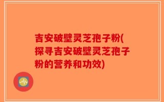 吉安破壁灵芝孢子粉(探寻吉安破壁灵芝孢子粉的营养和功效)
