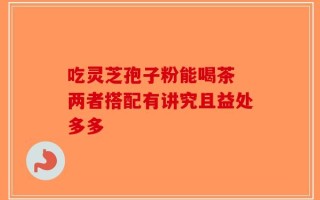 吃灵芝孢子粉能喝茶 两者搭配有讲究且益处多多