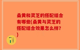 桑黄和灵芝的搭配组合有哪些(桑黄与灵芝的搭配组合效果怎么样？)