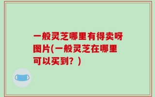 一般灵芝哪里有得卖呀图片(一般灵芝在哪里可以买到？)
