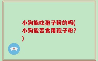 小狗能吃孢子粉的吗(小狗能否食用孢子粉？)