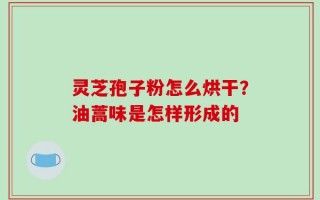 灵芝孢子粉怎么烘干？油蒿味是怎样形成的
