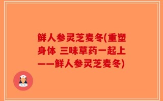 鲜人参灵芝麦冬(重塑身体 三味草药一起上——鲜人参灵芝麦冬)